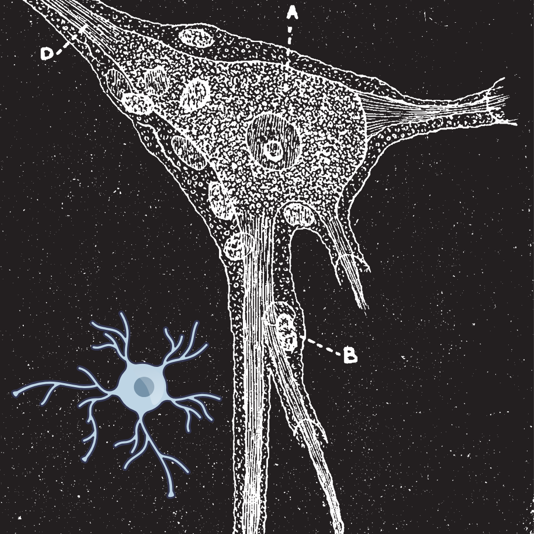All About Stellate Ganglion Block